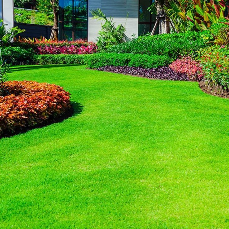 Lawn Installation